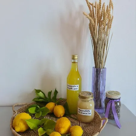 Mafalda ピエトラ・リーグレ