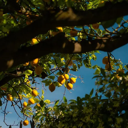 Mafalda Bed & Breakfast Pietra Ligure