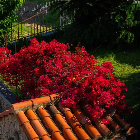 Mafalda Bed & Breakfast Pietra Ligure