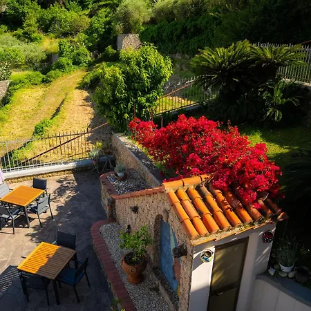 Mafalda Pietra Ligure