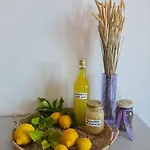 Mafalda Pietra Ligure