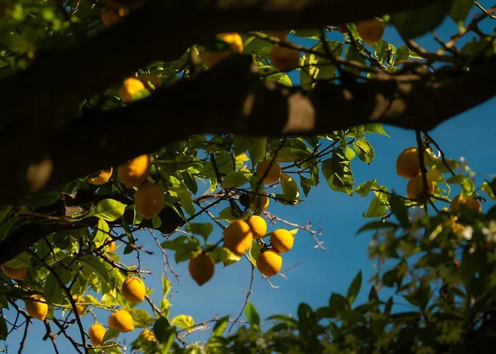 Mafalda לינה וארוחת בוקר פייטרה ליגורה