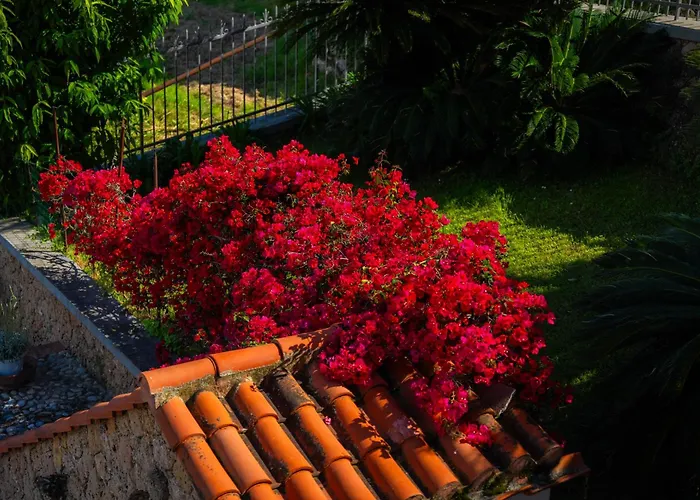 Mafalda לינה וארוחת בוקר פייטרה ליגורה
